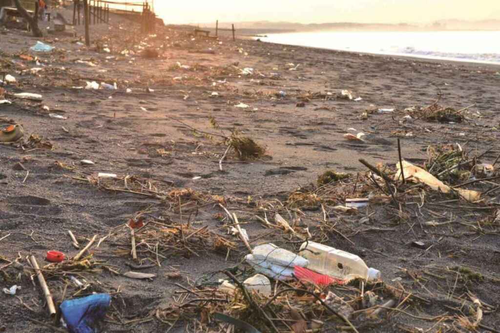 海岸のプラスチックごみの実態 | 公益財団法人かながわ海岸美化財団